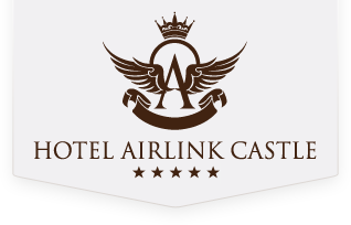 Airlink Castle Logo